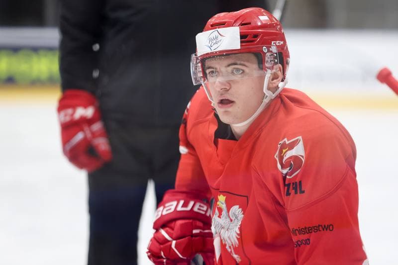 Ice Hockey. Poland national team. Training. 16.04.2024