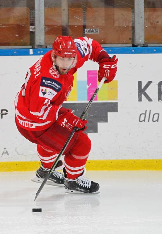 Ice Hockey. International Friendly Match. Poland - Korea. 16.04.2016