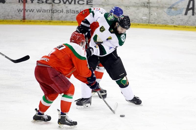 Ice Hockey. I Liga. Naprzod Janow - Zaglebie Sosnowiec. 22.01.2017