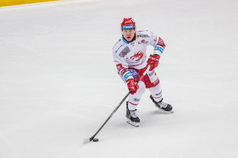 Ice Hockey. Tipsport Extraliga. Ocelari Trinec - Vitkovice Ridera. 21.11.2019