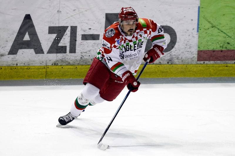 Ice Hockey. Polska Hokej Liga. Zaglebie Sosnowiec - Weglokoks Kraj Polonia Bytom. 28.10.2018