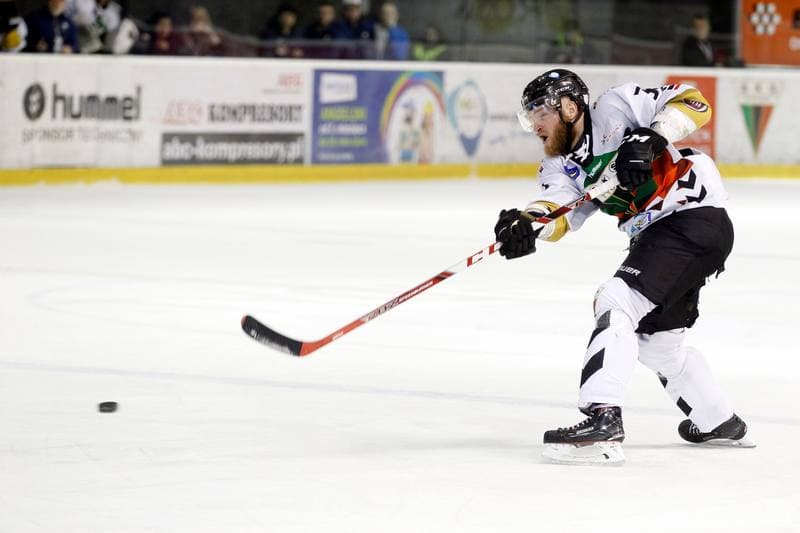Ice Hockey. PHL. GKS Tychy - Comarch Cracovia. 02.04.2019