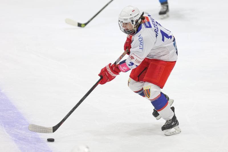 Ice Hockey. Tauron Liga Kobiet. Polonia Bytom - UKKH Unia Oswiecim. 24.02.2024