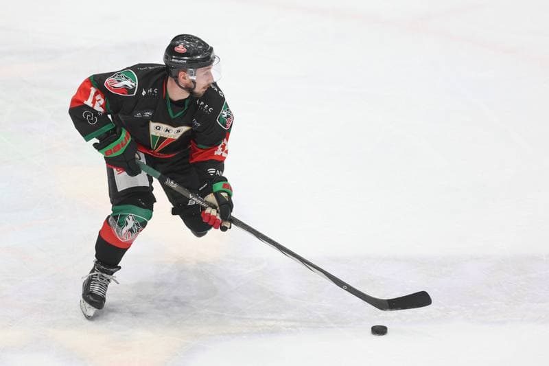 Ice Hockey. Tauron Hokej Liga. Zaglebie Sosnowiec - GKS Tychy. 27.02.2024