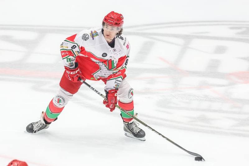 Ice Hockey. Tauron Hokej Liga. Zaglebie Sosnowiec - Comarch Cracovia. 19.11.2023