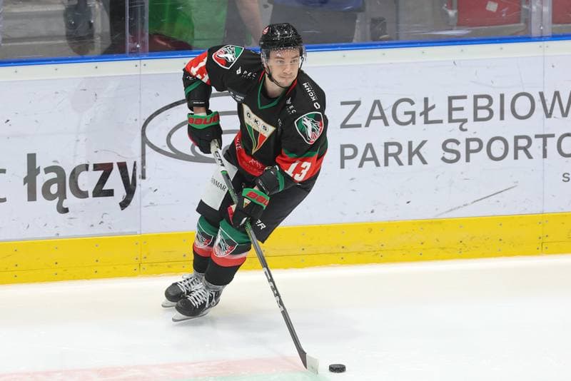 Ice Hockey. Tauron Hokej Liga. Zaglebie Sosnowiec - GKS Tychy. 27.02.2024