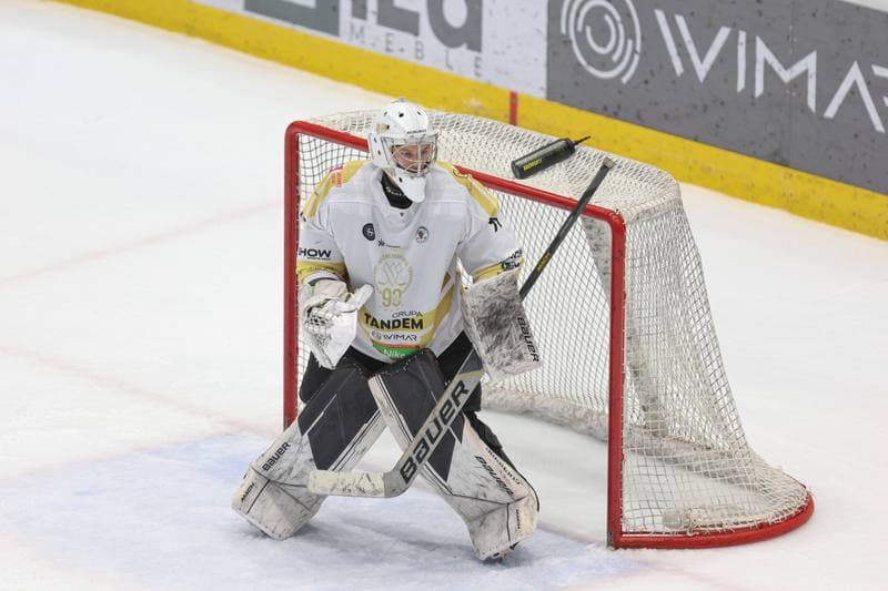 Ice Hockey. Tauron Hokej Liga. Zaglebie Sosnowiec - GKS Tychy. 27.02.2024