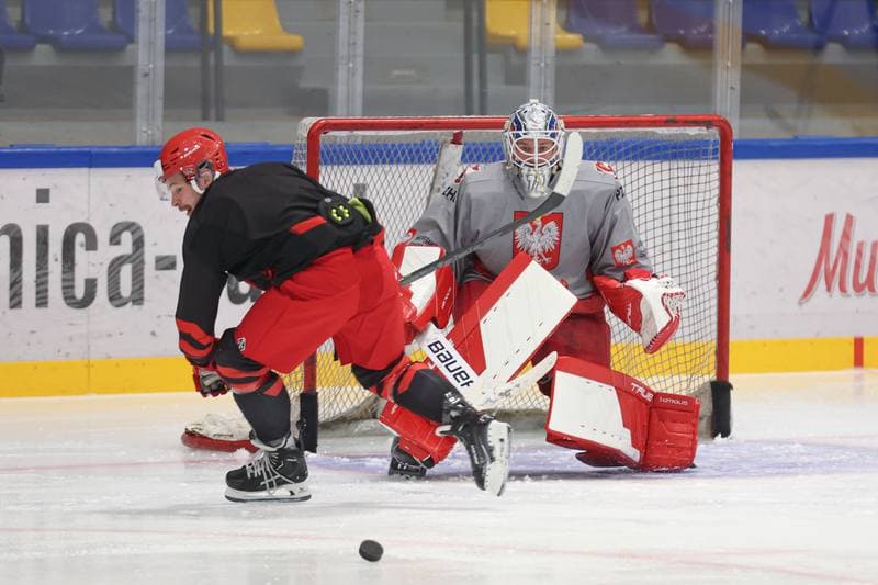 Ice Hockey. Poland national team. Training. 11.04.2024