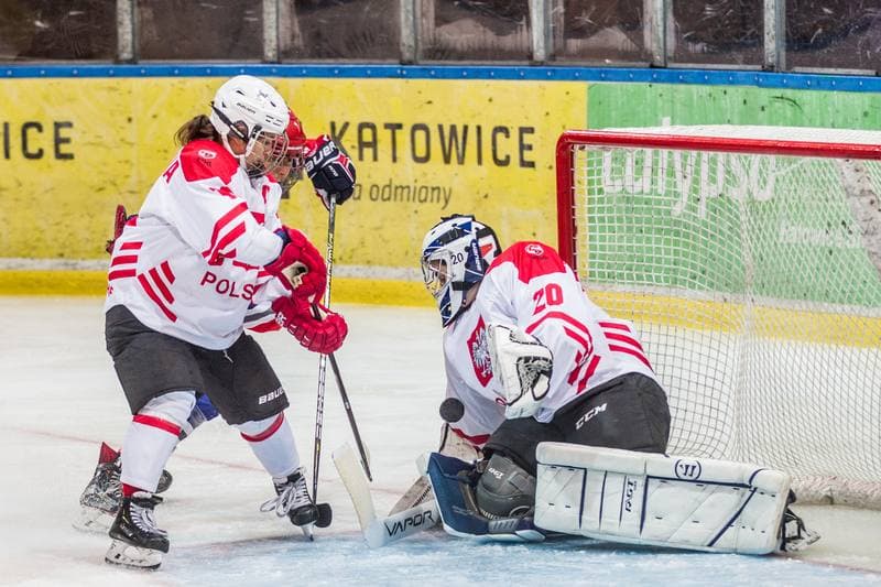 Ice Hockey. EWHL. Silesia Brackens - EVB Eagles. 29.09.2019