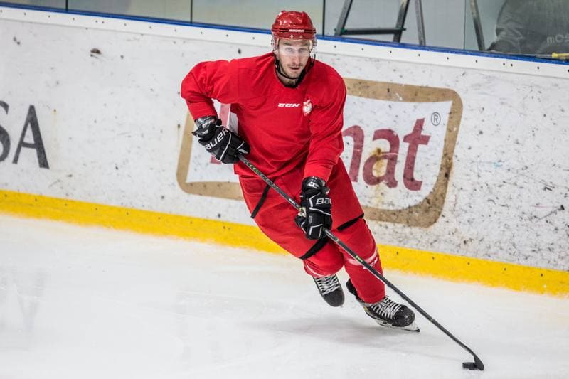 Ice Hockey. Poland national team. Training. 02.11.2020