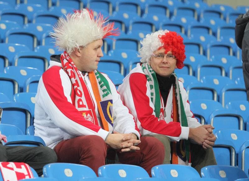 Football. International Friendly. Poland - Ireland. 19.11.2013