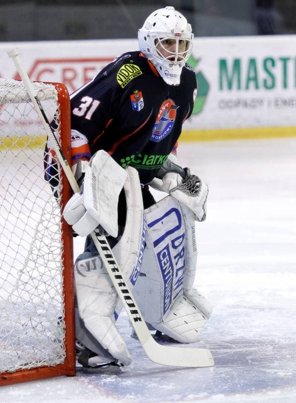 Ice Hockey. Polska Hokej Liga. GKS Tychy - Ciarko KH Sanok. 23.01.2015