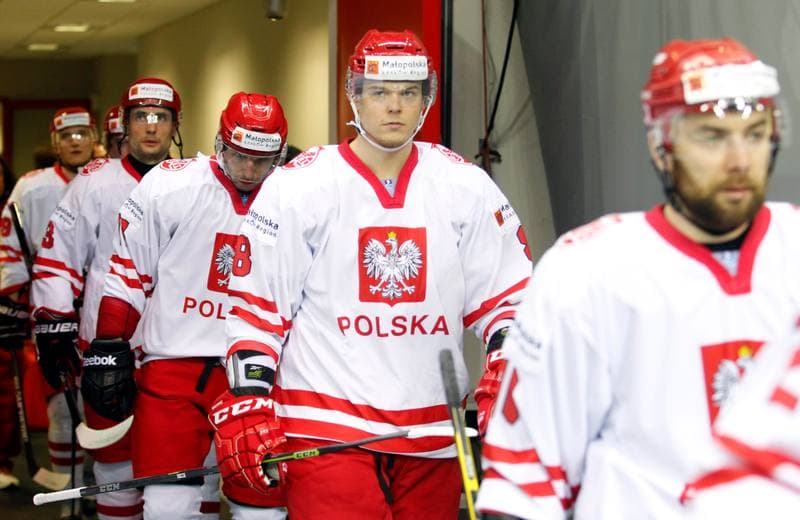 Ice Hockey. IIHF World Championship Division 1A. Poland - Japan. 20.04.2015