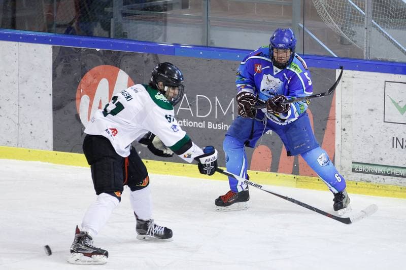 Ice Hockey. I Liga. Naprzod Janow - UKH Debica. 12.02.2017