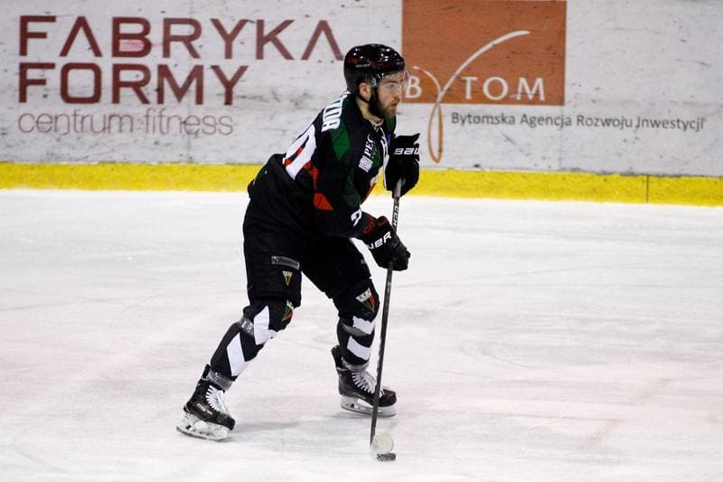 Ice Hockey. Polska Hokej Liga. Polonia Bytom - GKS Tychy. 28.01.2018