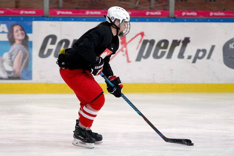 Ice Hockey. Poland national team. Training. 15.02.2018