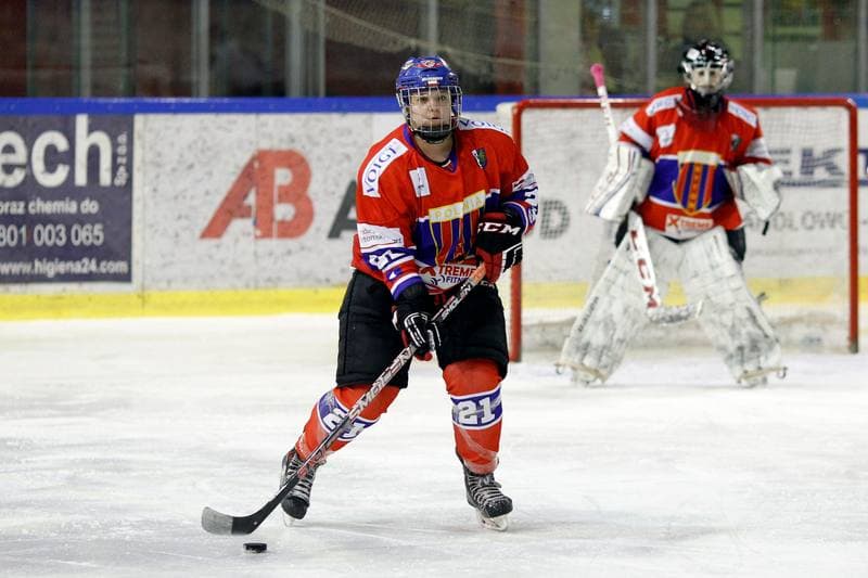 Ice Hockey. PLHK. Naprzod Janow - Polonia Bytom. 24.02.2018