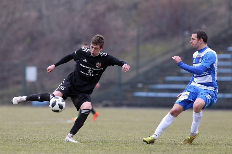 Football. Fortuna Narodni Liga. Fotbal Trinec - FK Usti nad Labem. 02.03.2019