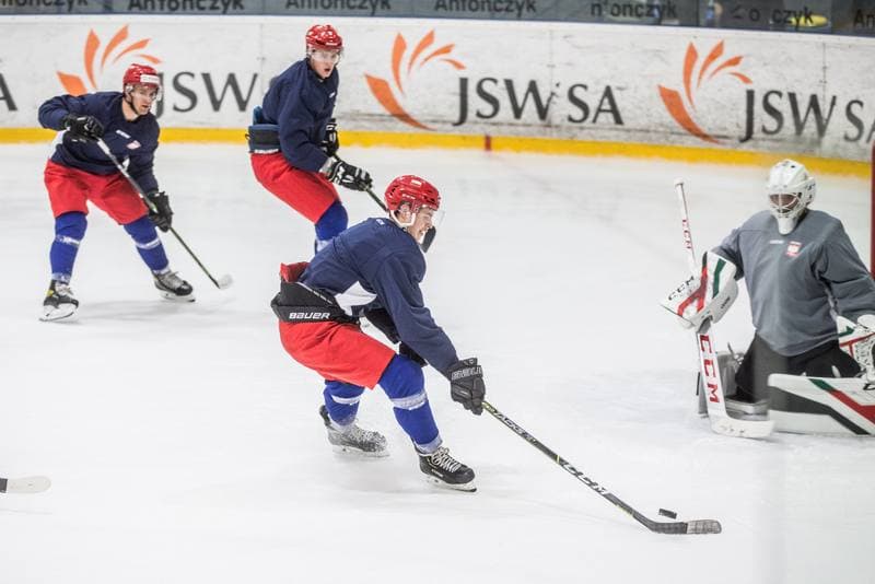 Ice Hockey. Poland national team. Training. 02.11.2020