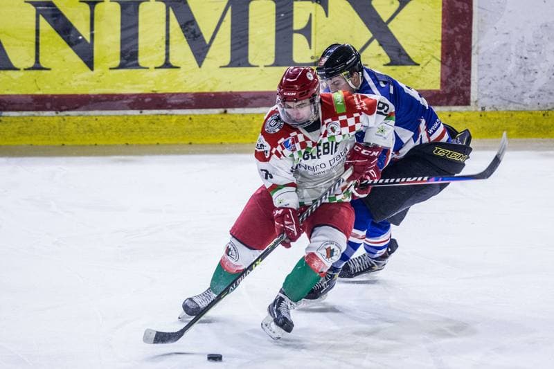 Ice Hockey. MHL. UKH Zaglebie Sosnowiec - Sokoly Torun. 08.01.2022