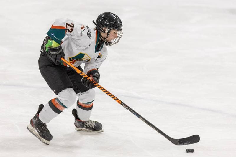 Ice Hockey. PLHK. Kojotki Naprzod Janow - MMKS Podhale Nowy Targ. 12.11.2022