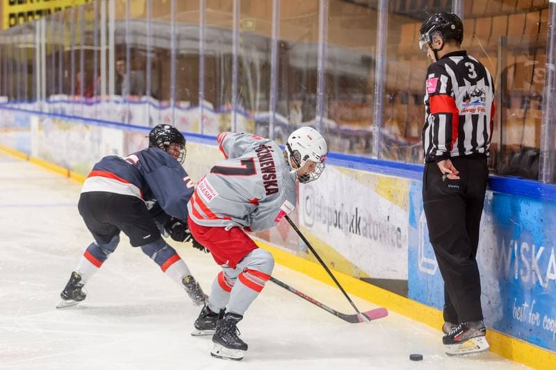 Ice Hockey. EWHL. Tauron Metropolia Silesia - Budapest Jegkorong Akademia. 22.10.2023