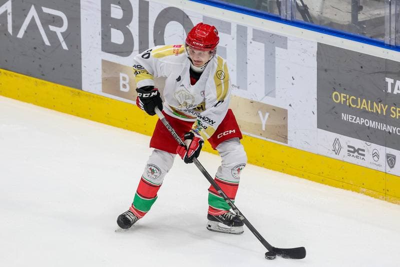 Ice Hockey. Tauron Hokej Liga. Zaglebie Sosnowiec - Marma Ciarko STS Sanok. 26.11.2023