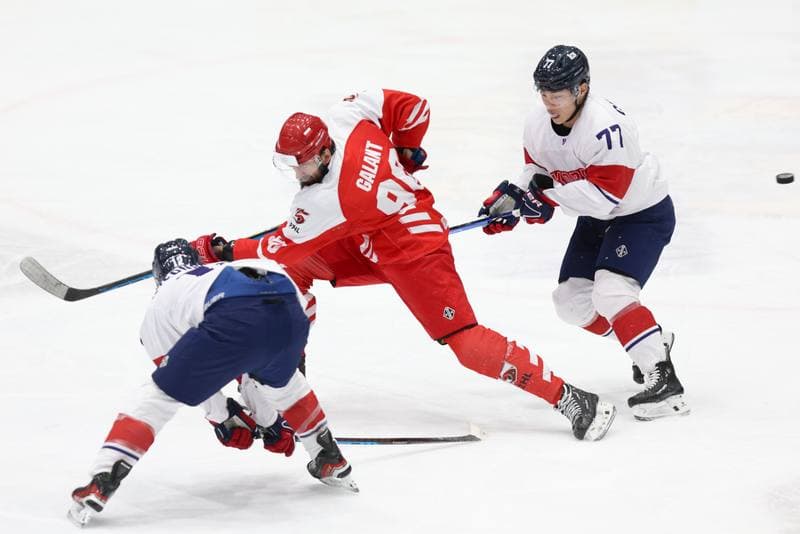 Ice Hockey. Olympic Qualification. Korea - Poland. 11.02.2024