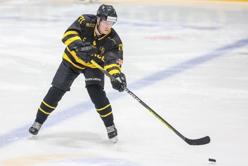Ice Hockey. Tauron Hokej Liga. JKH GKS Jastrzebie - GKS Katowice. 28.11.2023