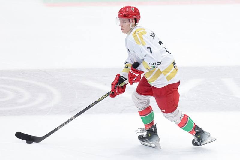 Ice Hockey. Tauron Hokej Liga. Zaglebie Sosnowiec - Marma Ciarko STS Sanok. 23.02.2024
