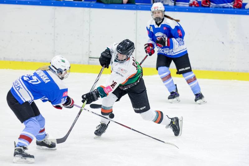 Ice Hockey. Tauron Liga. Kojotki Naprzod Janow - Stoczniowiec Gdansk. 24.02.2024