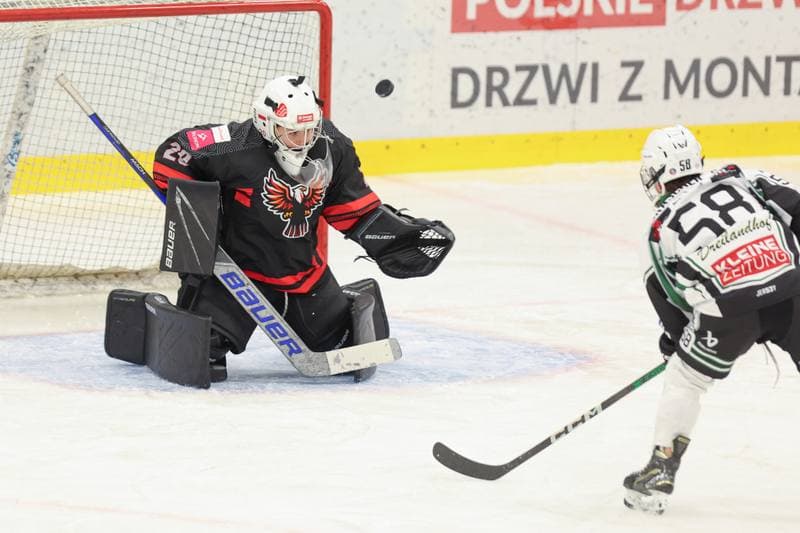 Ice Hockey. EWHL. Tauron Metropolia Silesia - EC Graz Huskies. 02.03.2024