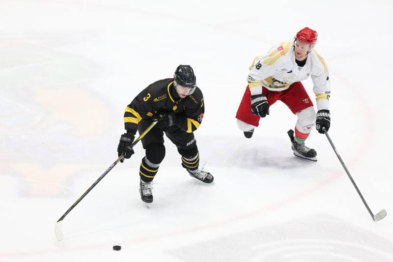 Ice Hockey. Tauron Hokej Liga. Zaglebie Sosnowiec - GKS Katowice. 21.01.2024