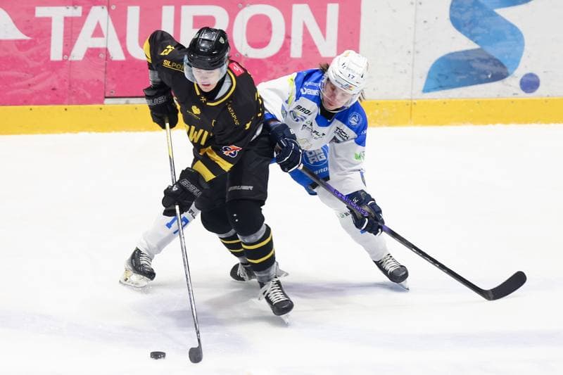 Ice Hockey. Tauron Hokej Liga. Re-Plast Unia Oswiecim - GKS Katowice. 01.02.2024