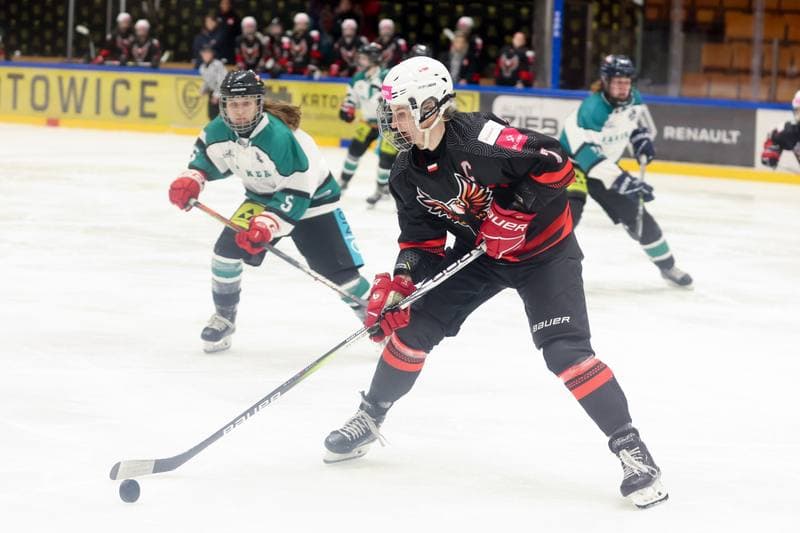 Ice Hockey. EWHL. Tauron Metropolia Silesia - KEHV Lakers. 03.02.2024
