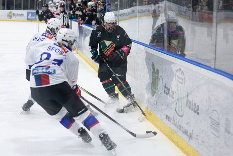 Ice Hockey. Tauron Liga Kobiet. BS Polonia Bytom - Kojotki Naprzod Janow. 16.03.2024