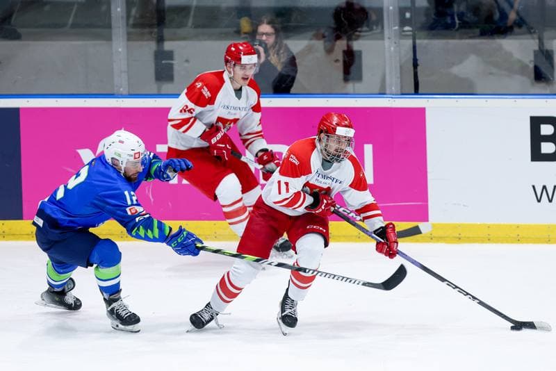 Ice Hockey. Friendly Match. Poland - Slovenia. 18.04.2024