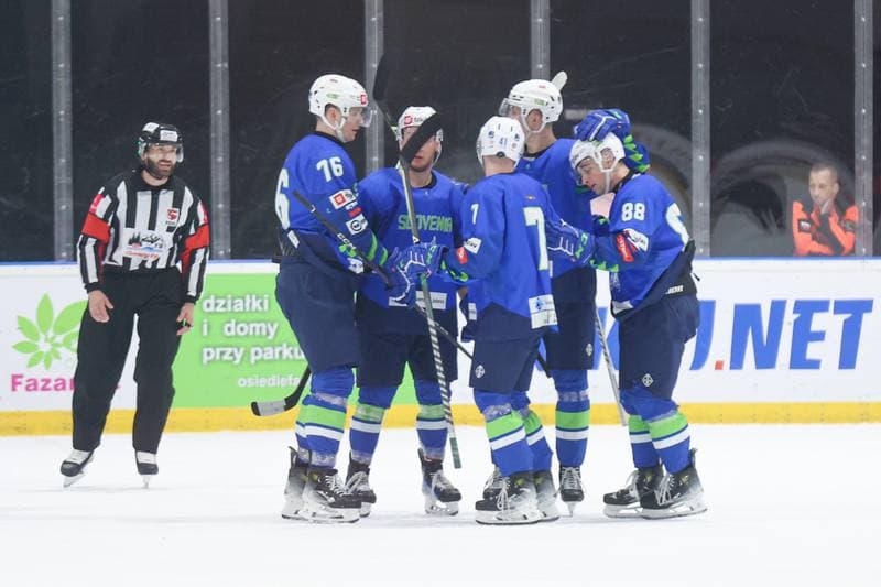 Ice Hockey. Friendly Match. Poland - Slovenia. 19.04.2024