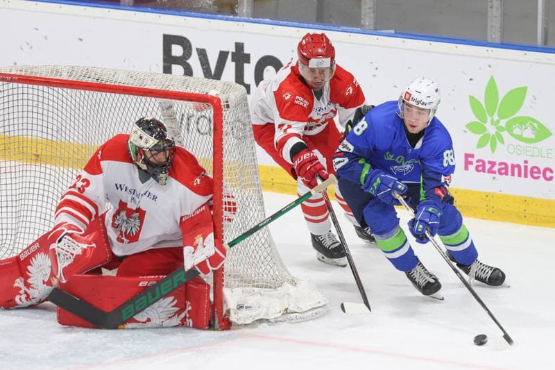 Ice Hockey. Friendly Match. Poland - Slovenia. 19.04.2024