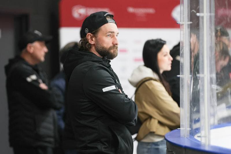 Ice Hockey. Friendly Match. Poland - Slovenia. 19.04.2024