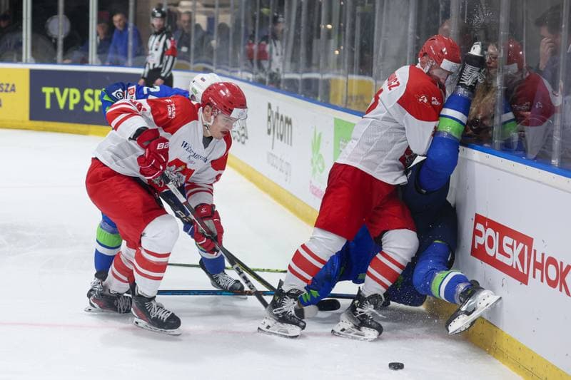Ice Hockey. Friendly Match. Poland - Slovenia. 19.04.2024