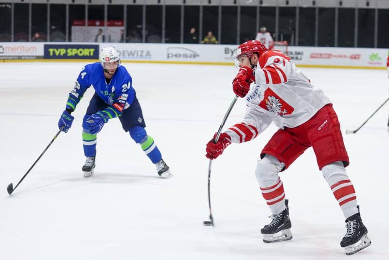 Ice Hockey. Friendly Match. Poland - Slovenia. 19.04.2024