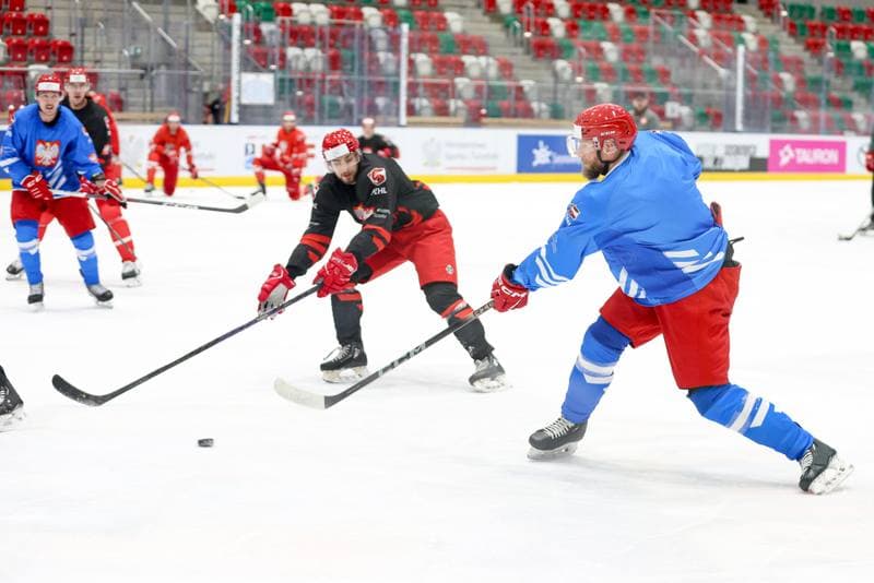 Ice Hockey. Poland national team. Training. 30.04.2024