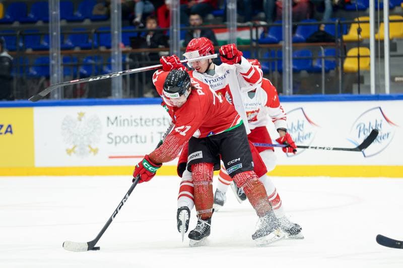 Ice Hockey. Friendly Match. Poland - Hungary. 13.04.2024