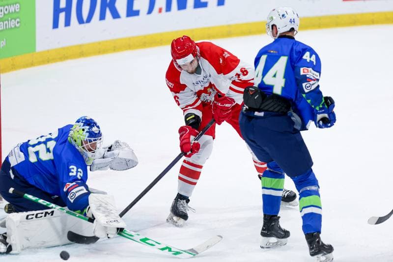 Ice Hockey. Friendly Match. Poland - Slovenia. 18.04.2024
