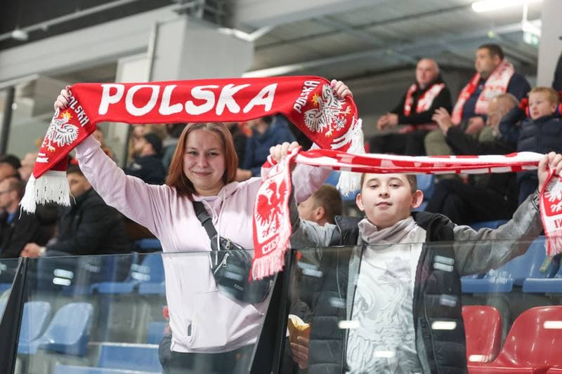 Ice Hockey. Friendly Match. Poland - Slovenia. 19.04.2024