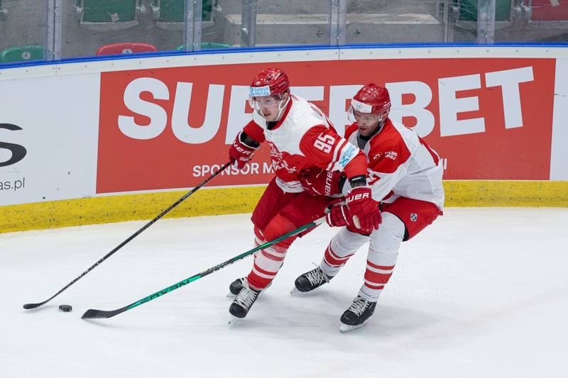 Ice Hockey. Friendly Match. Poland - Denmark. 07.05.2024
