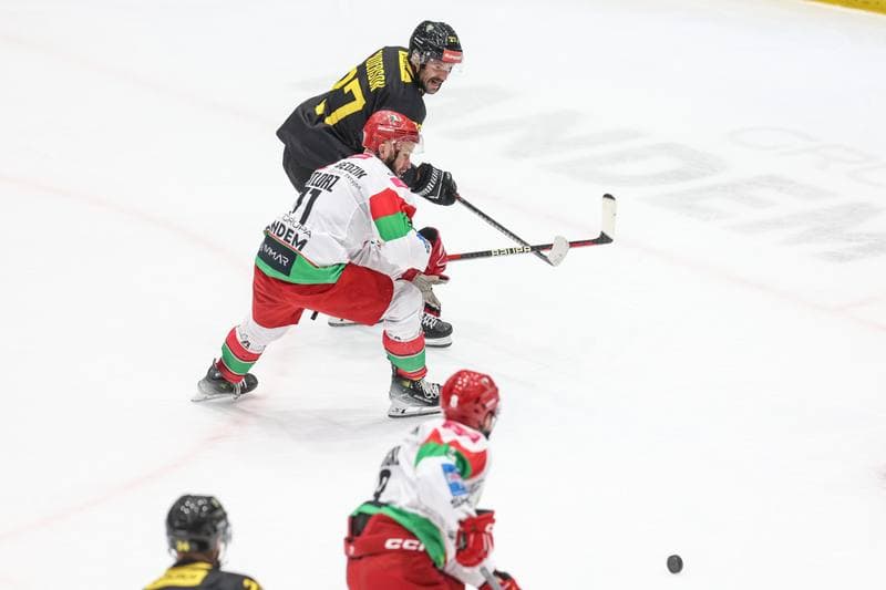Ice Hockey. Tauron Hokej Liga. EC Bedzin Zaglebie Sosnowiec - GKS Katowice. 01.12.2024