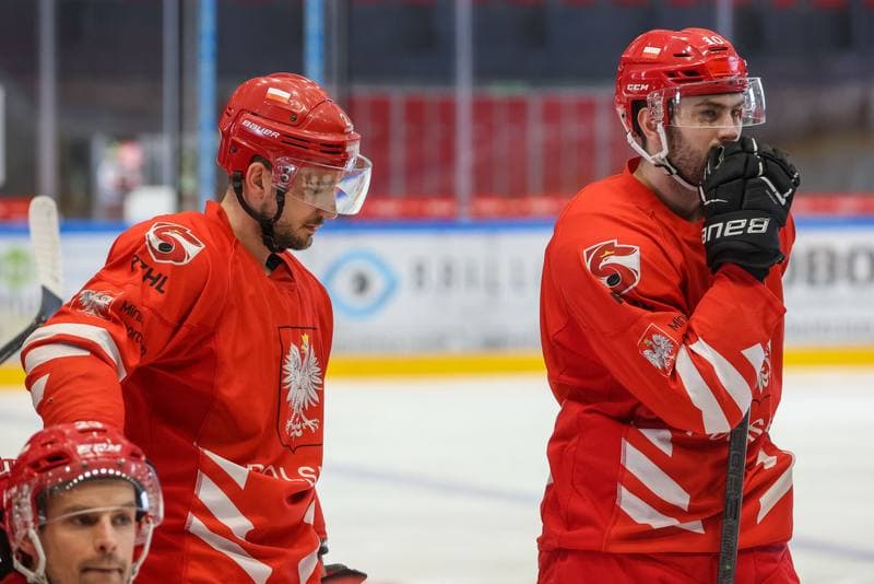 Ice Hockey. Poland national team. Training. 10.04.2023