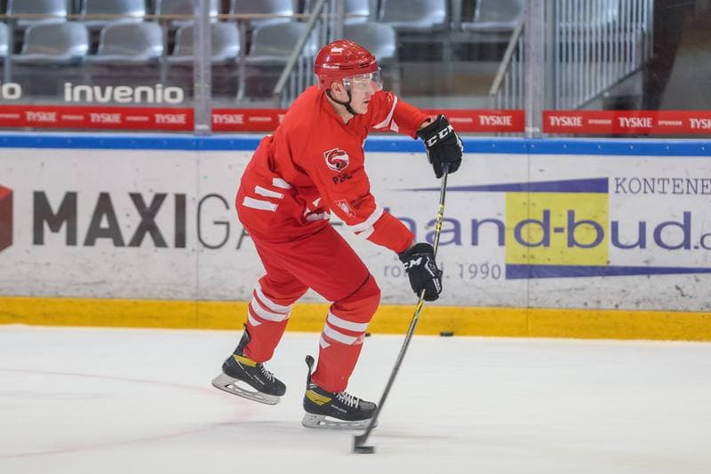 Ice Hockey. Poland national team. Training. 10.04.2023